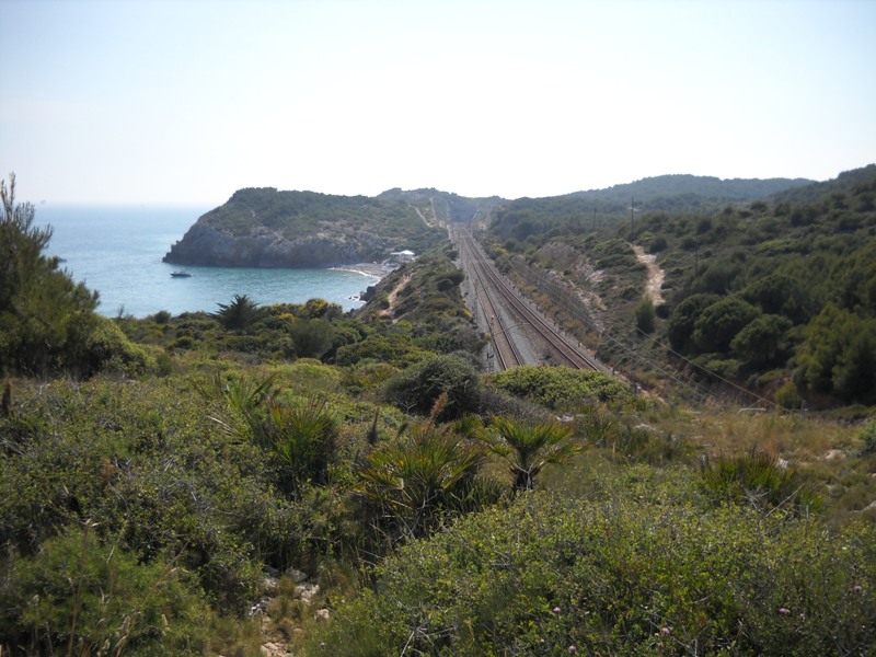 Foto 2