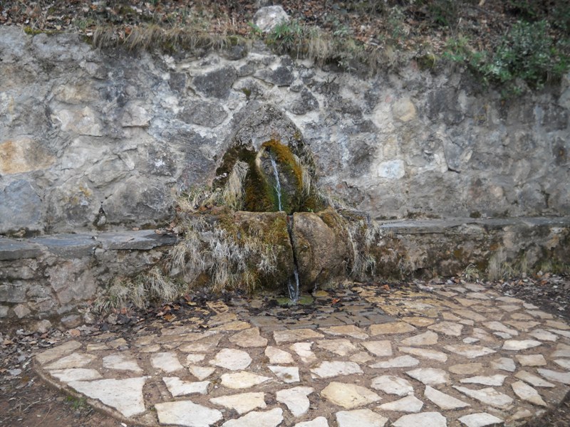 Foto 6