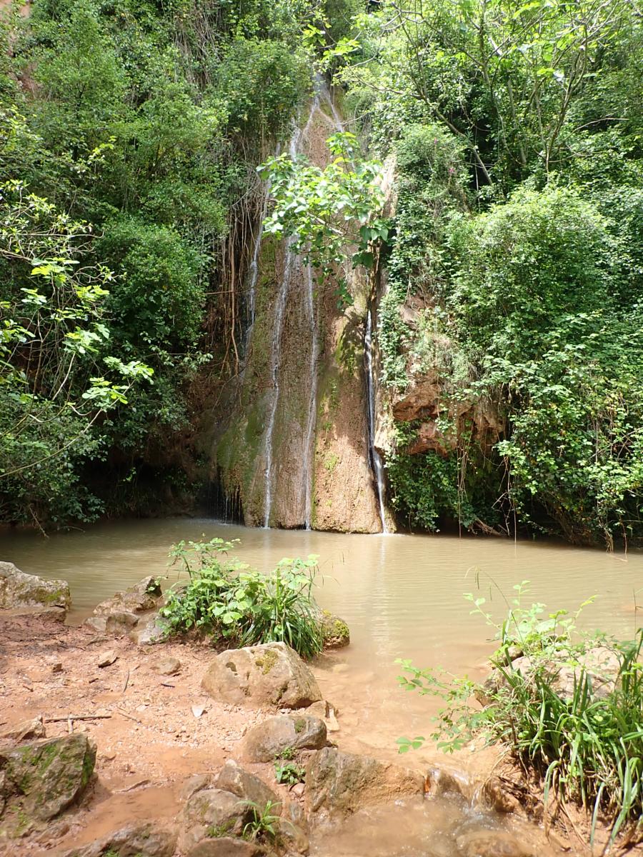 Foto 4