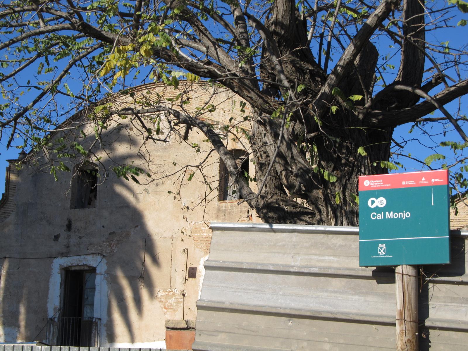 El Parc Agrari del Baix Llobregat des de Cornellà Riera