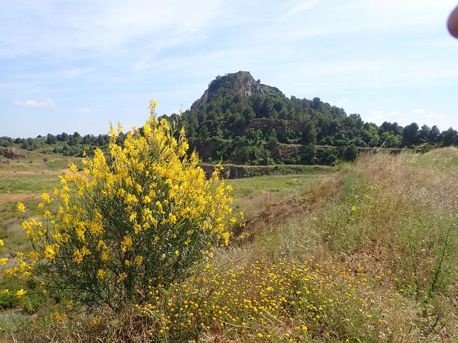 Volta al turó de Montcada (100 Cims) des de Montcada i Reixac