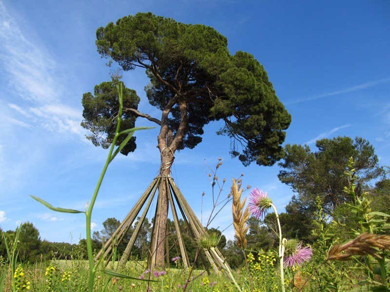 De Barcelona a Sant Cugat del Vallès pel turó de Magarola (100 Cims) seguint el Camí de Sant Jaume