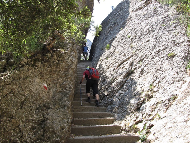 Circular a Sant Jeroni (100 Cims) des de Montserrat pel Camí Vell i tornada pel Camí Nou