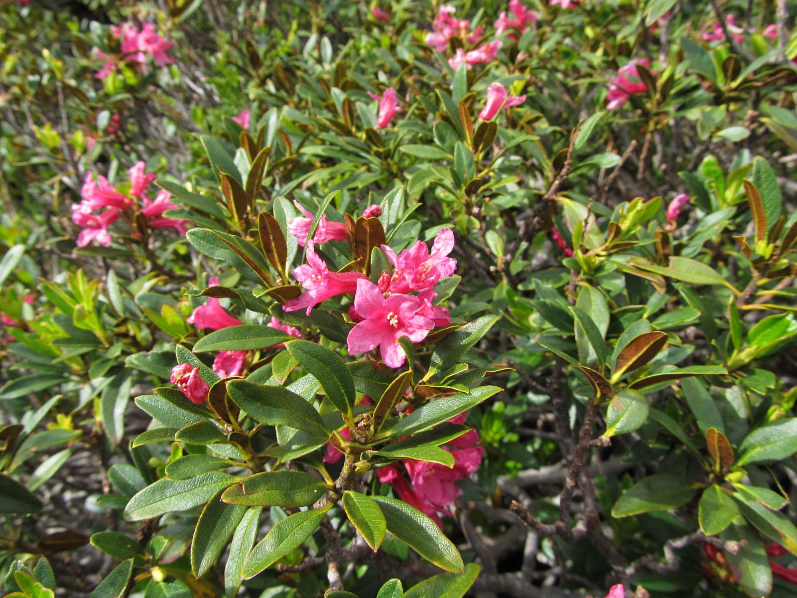 Foto 6