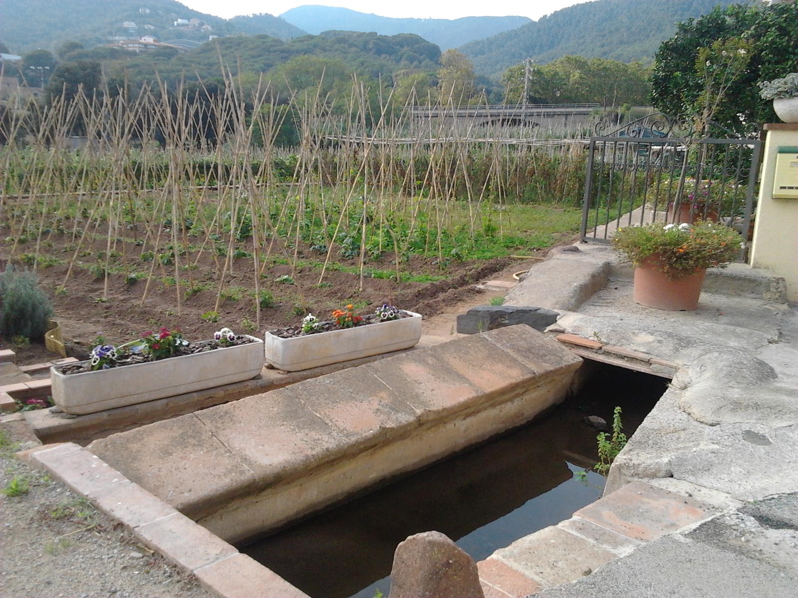Foto 6