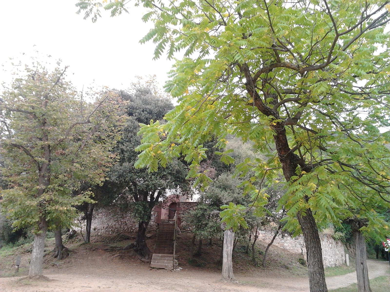 Foto 9