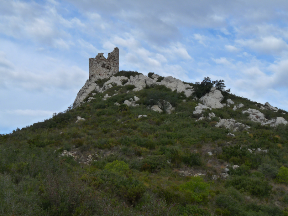 De La Riba a Vilaverd pel cim del Puigcabrer (100 Cims)
