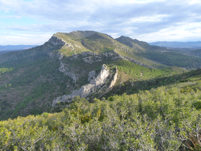 Foto 6