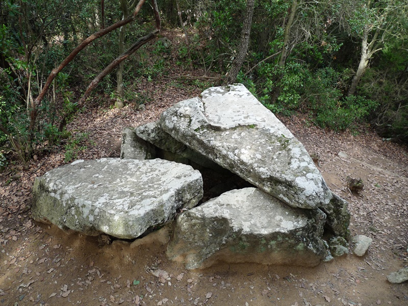 Foto 9