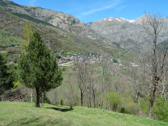 Foto 11