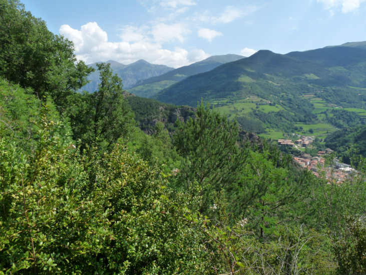Foto 3