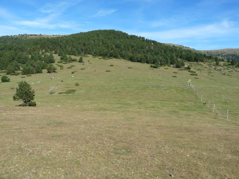 Foto 8