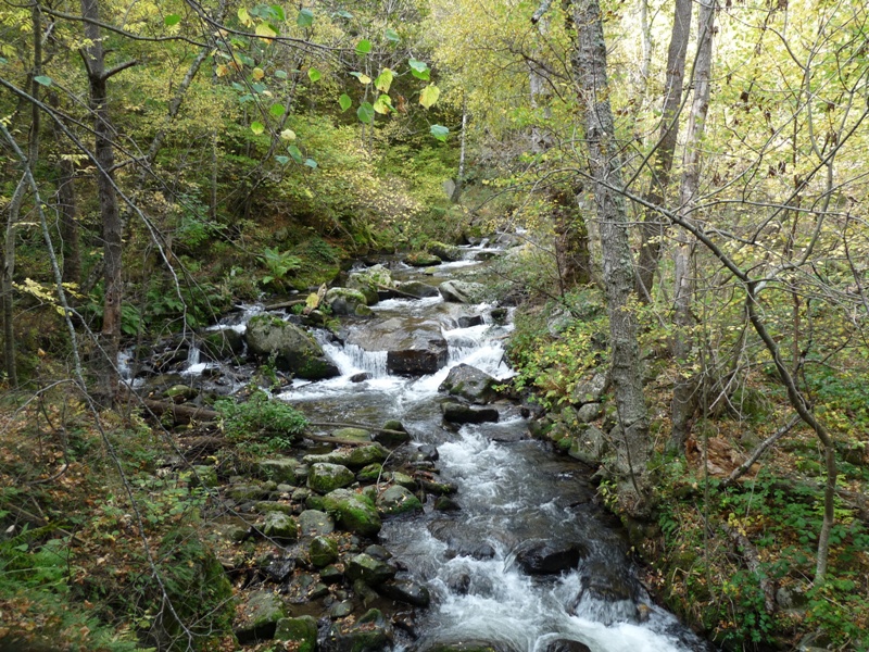 Foto 11