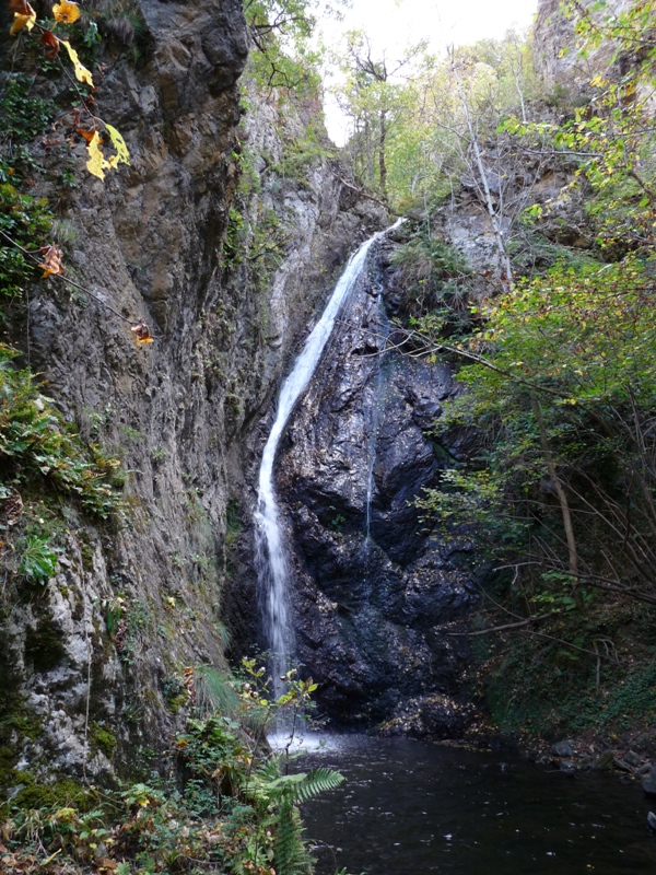 Foto 17