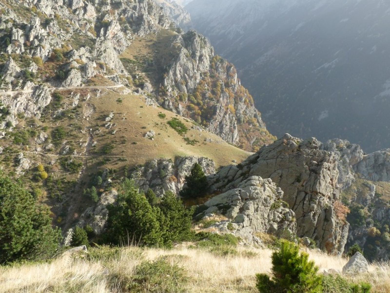 Foto 9