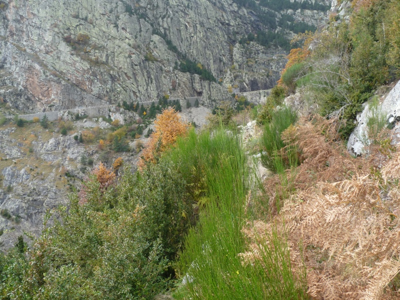 Foto 8