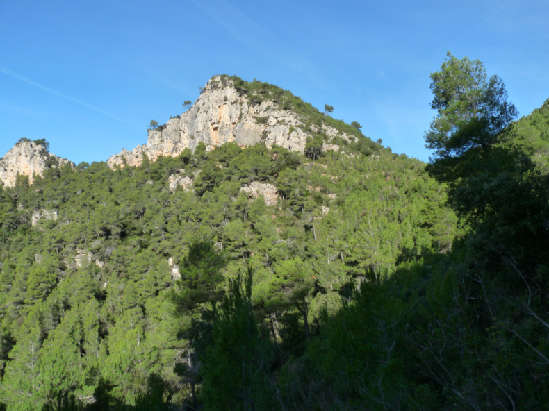 Foto 11