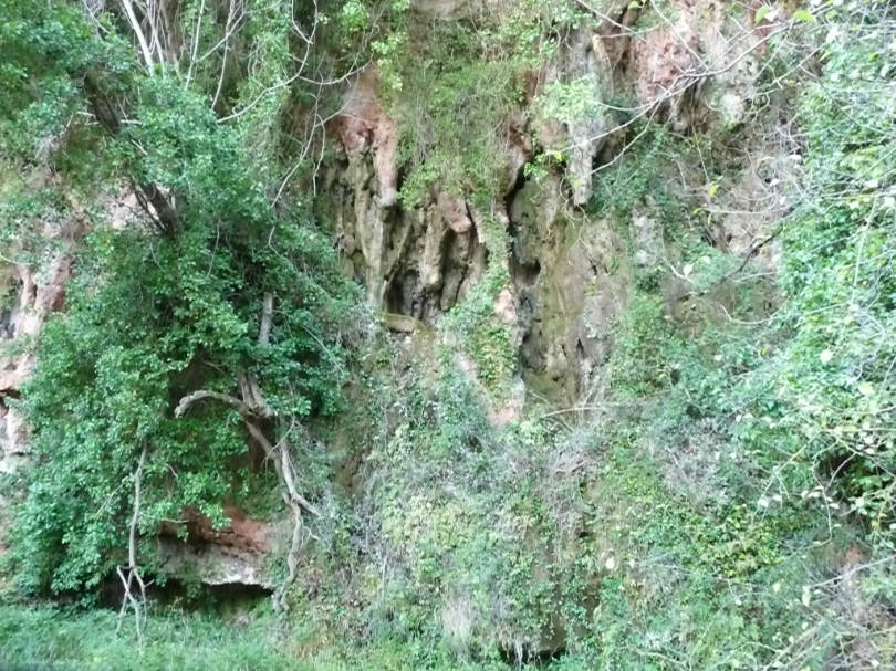 Foto 21