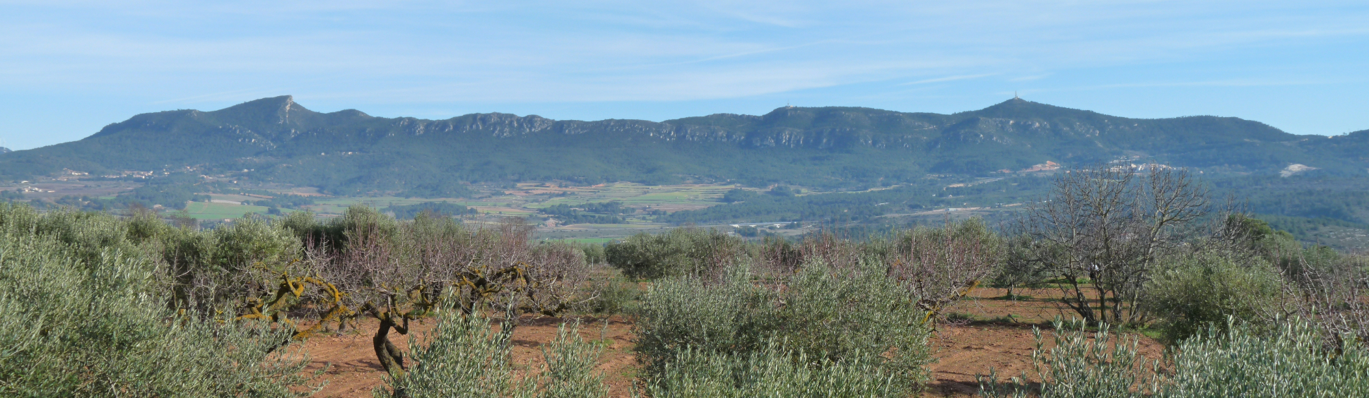 De Vilaverd a Montblanc per Rojals i La Vall