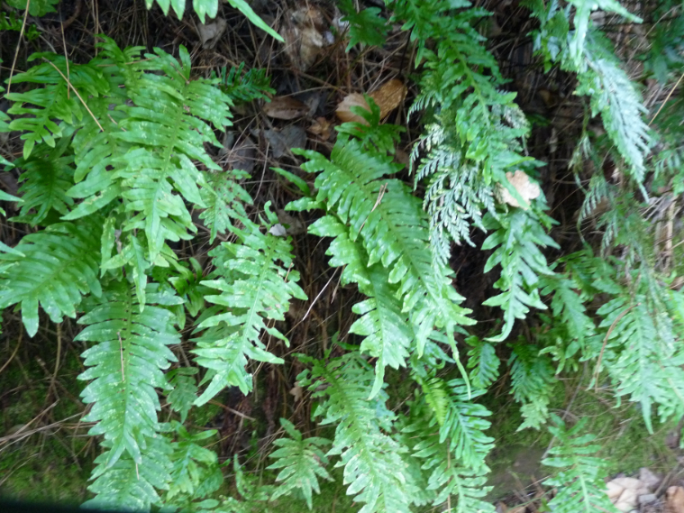 Foto 14