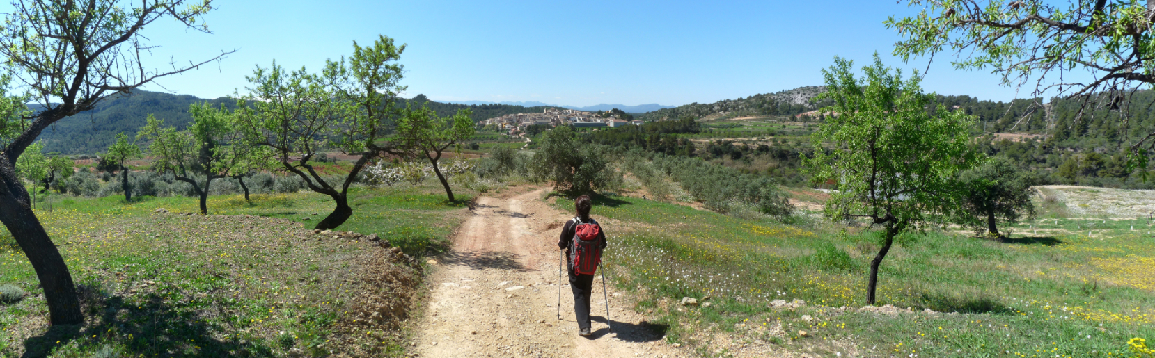 De Marçà-Falset a Capçanes pel Mas d'en Cosme i el camí de les Taules