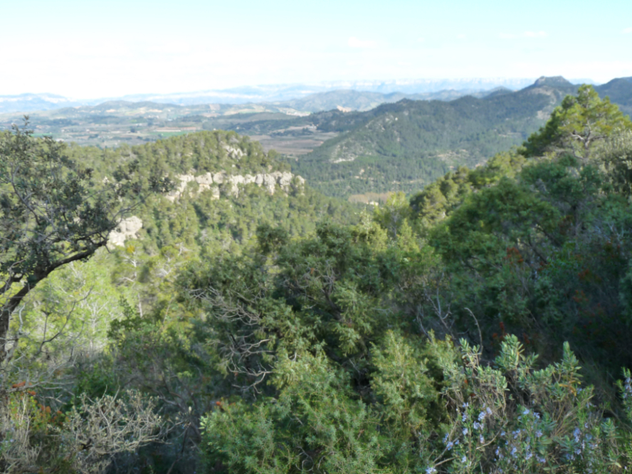 Foto 6