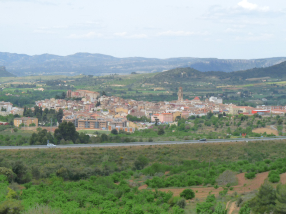 Foto 9