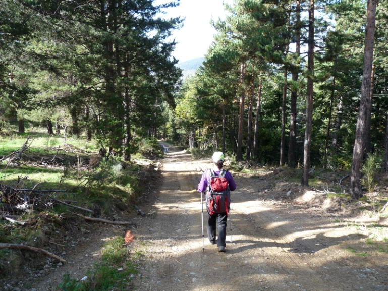 Foto 9
