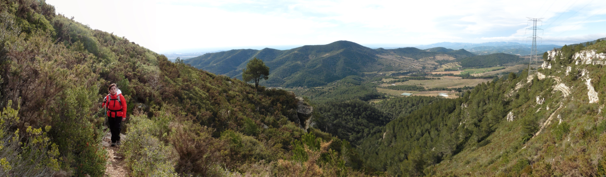 De La Selva del Camp a Alcover per l'Albiol seguint els senders GR 65.5 i PR C-20
