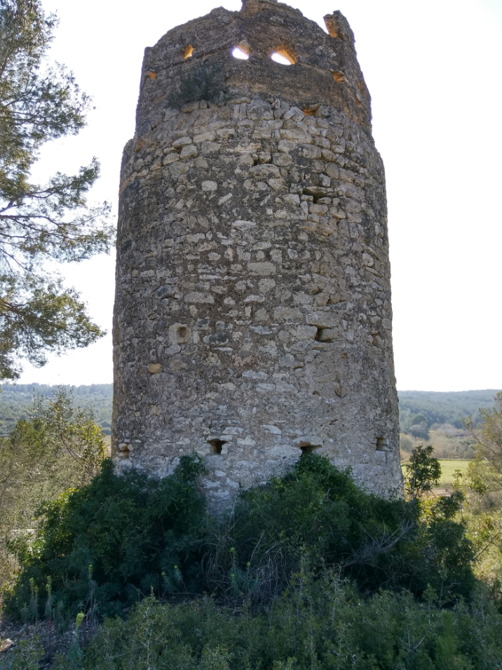 Foto 12