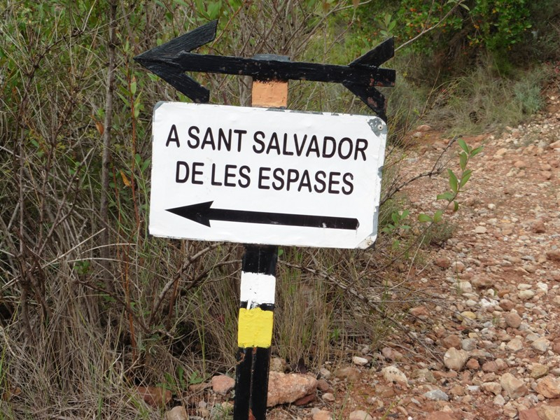 Foto 8