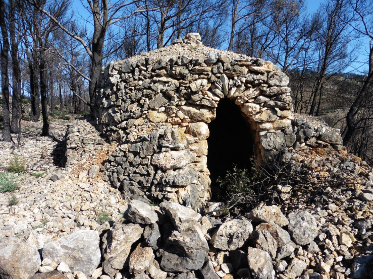 Foto 13