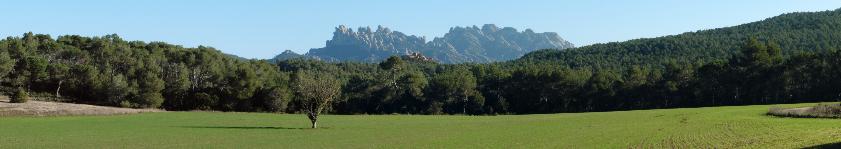 De la Pobla de Claramunt a Montserrat per Castellolí, Castellferran(100 Cims) i castell de la Guàrdia