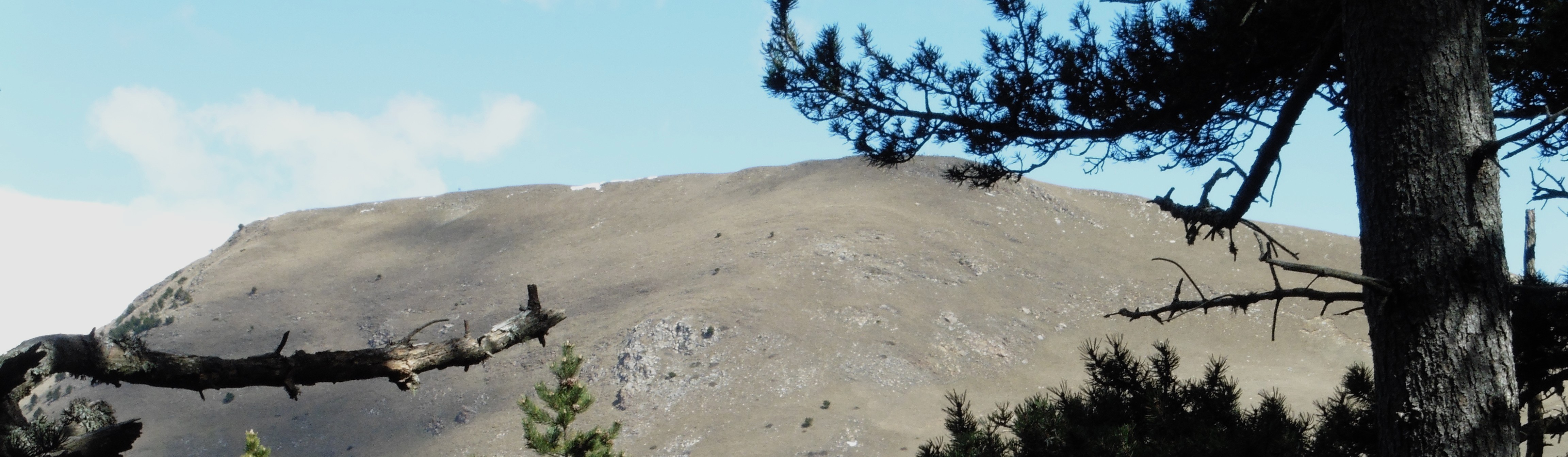 De Ripoll a Campdevànol pel Camí de Vidabona, Sant Amand (1.854 m), Saltor i Colònia Molinou