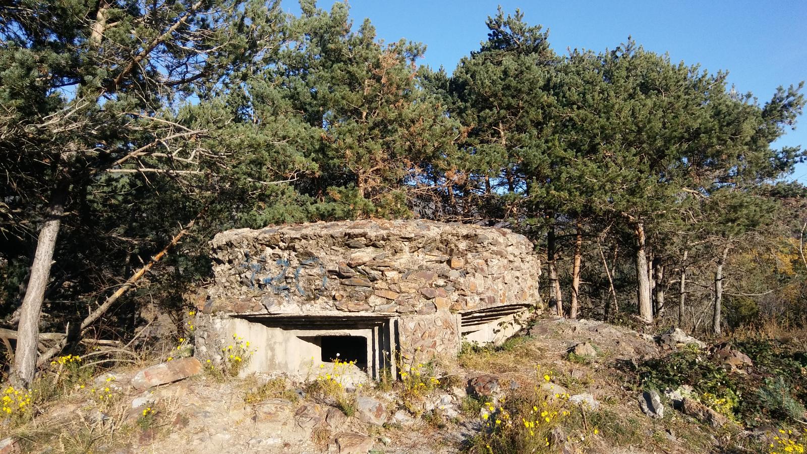 Foto 10