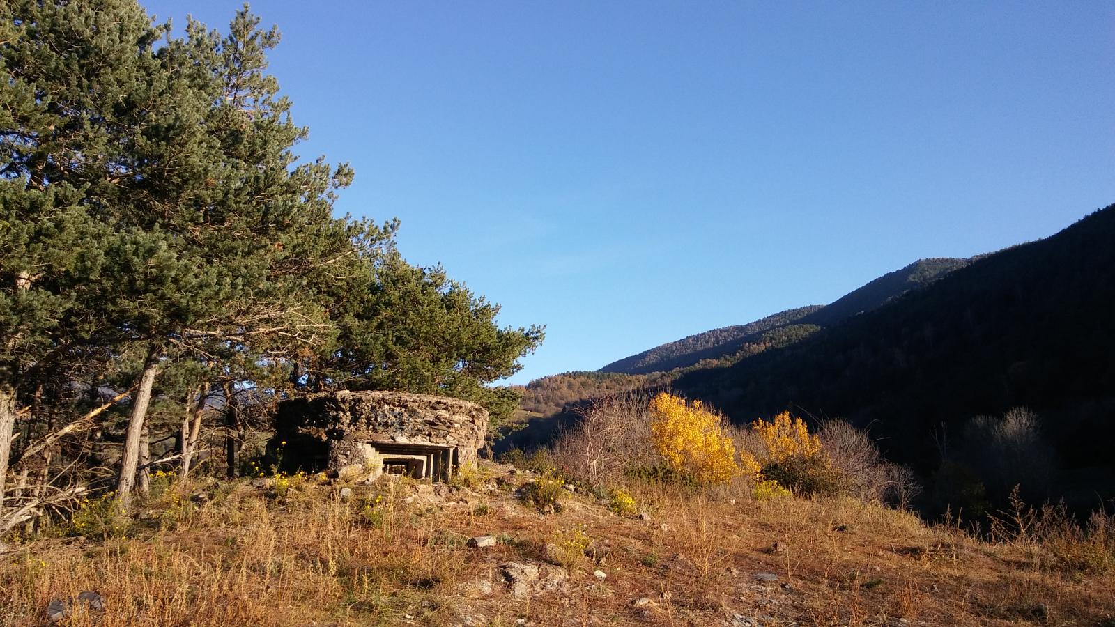 Foto 13