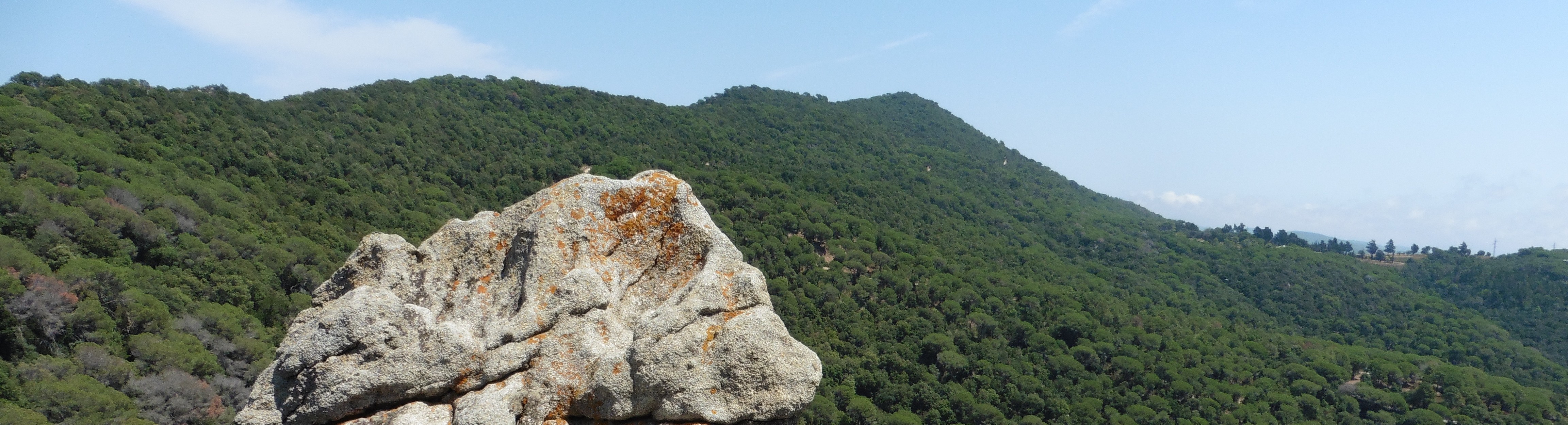 De Mataró a Arenys de Mar pel Turó d'Onofre Arnau (100 Cims) i Montalt (100 Cims)