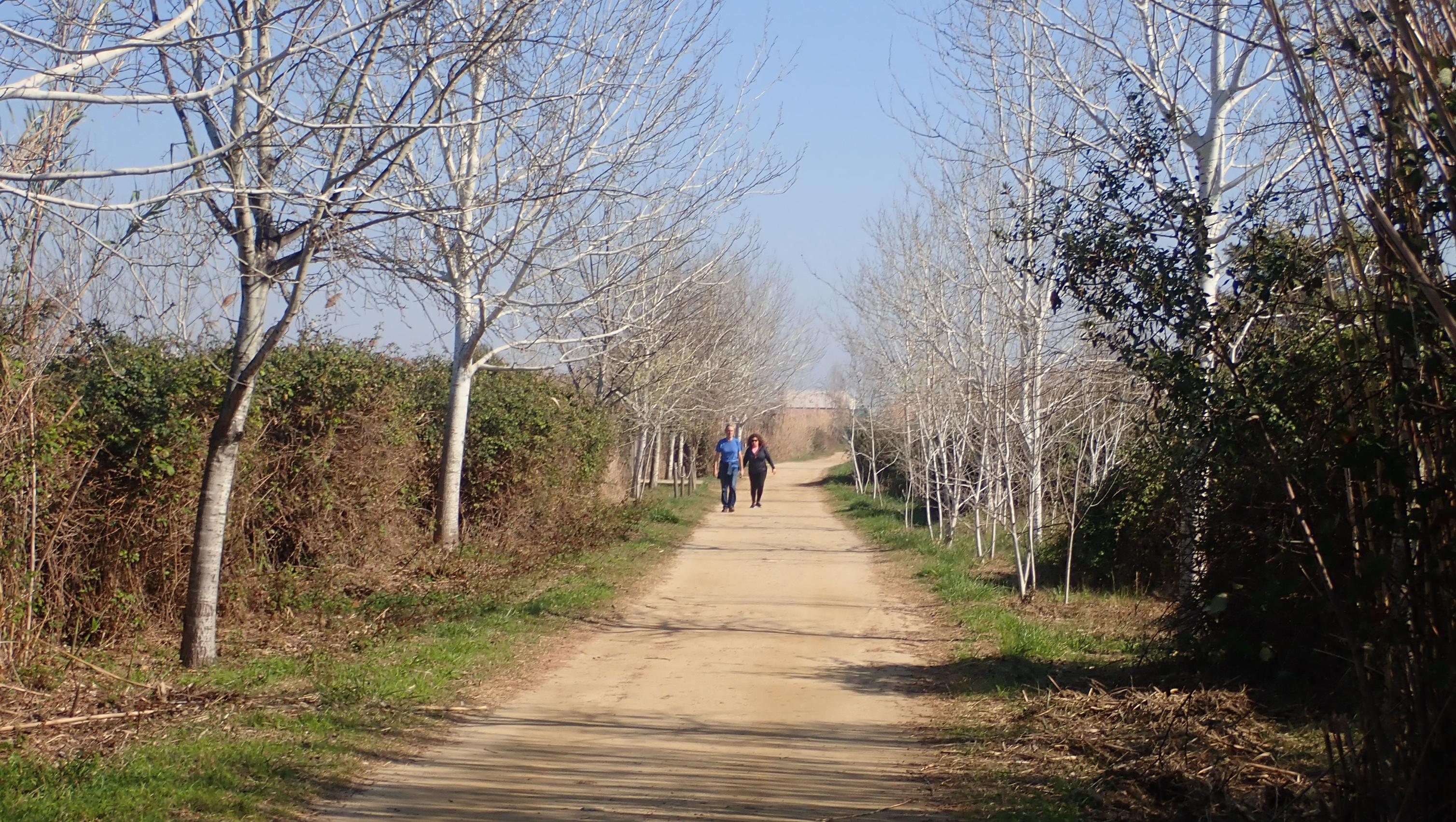 Foto 9