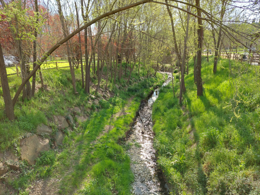 Foto 8