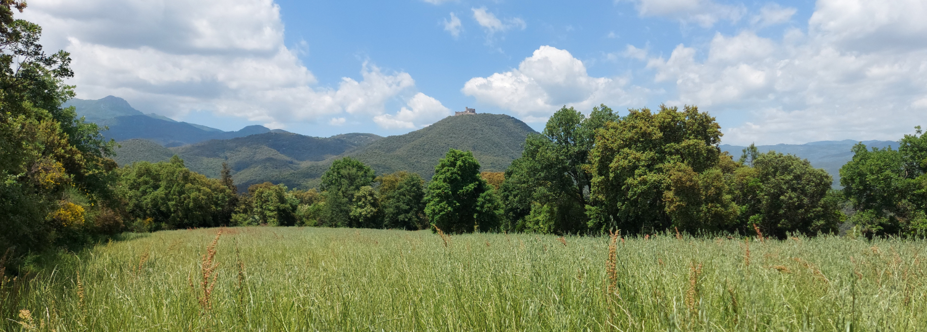 De Riells i Viabrea-Breda a Hostalric pel castell de Montsoriu (100 Cims)