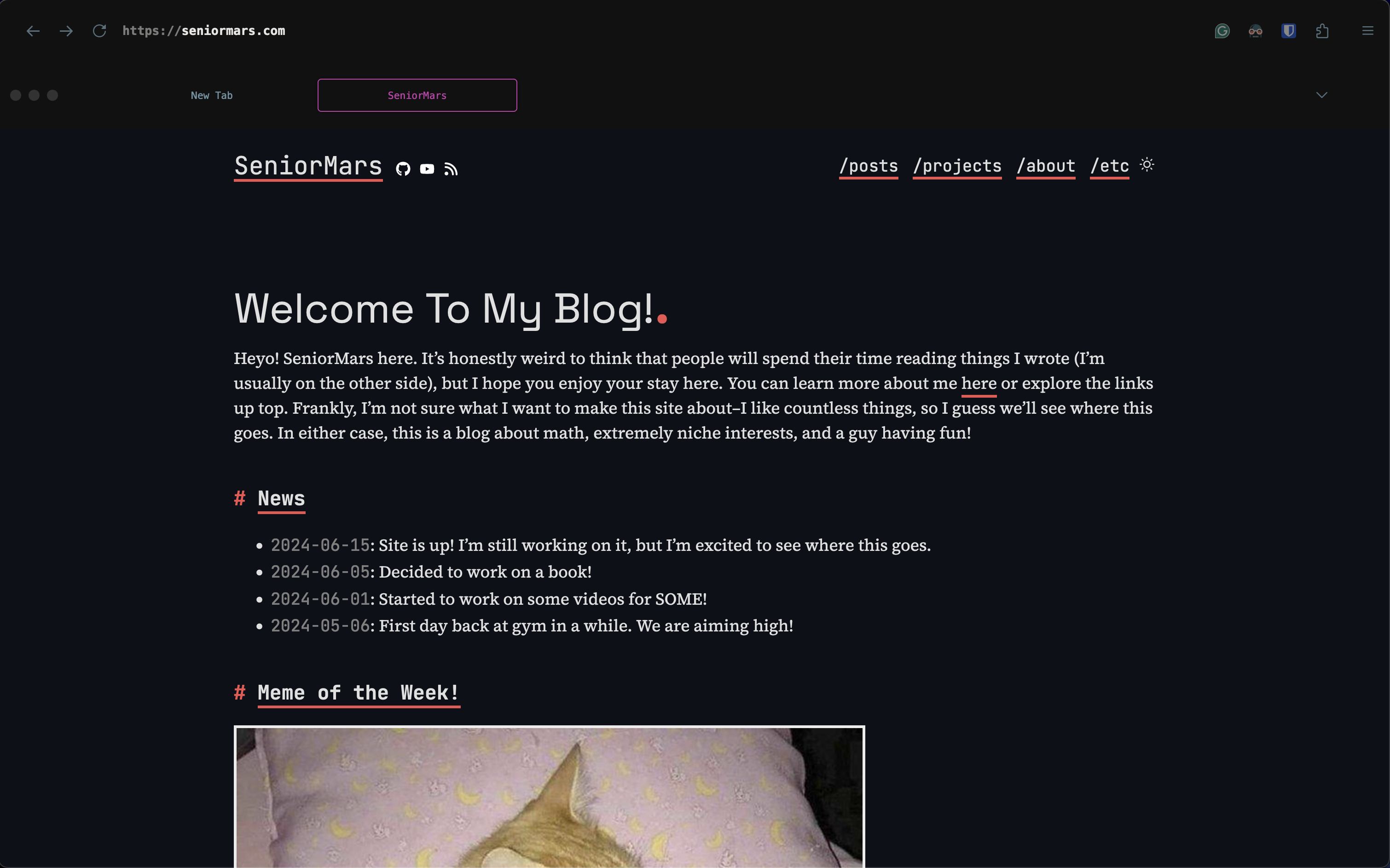 My website