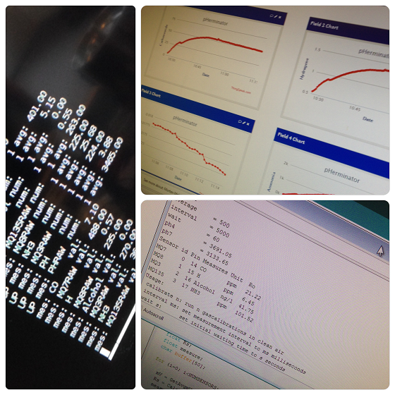 dataoutput