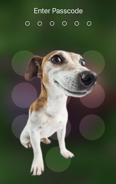 搞笑修图柴犬 (Adobe Dog)