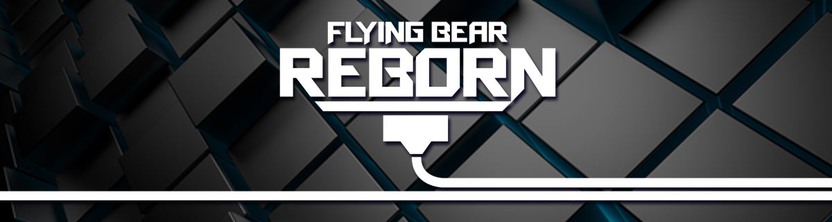 Reborn logo