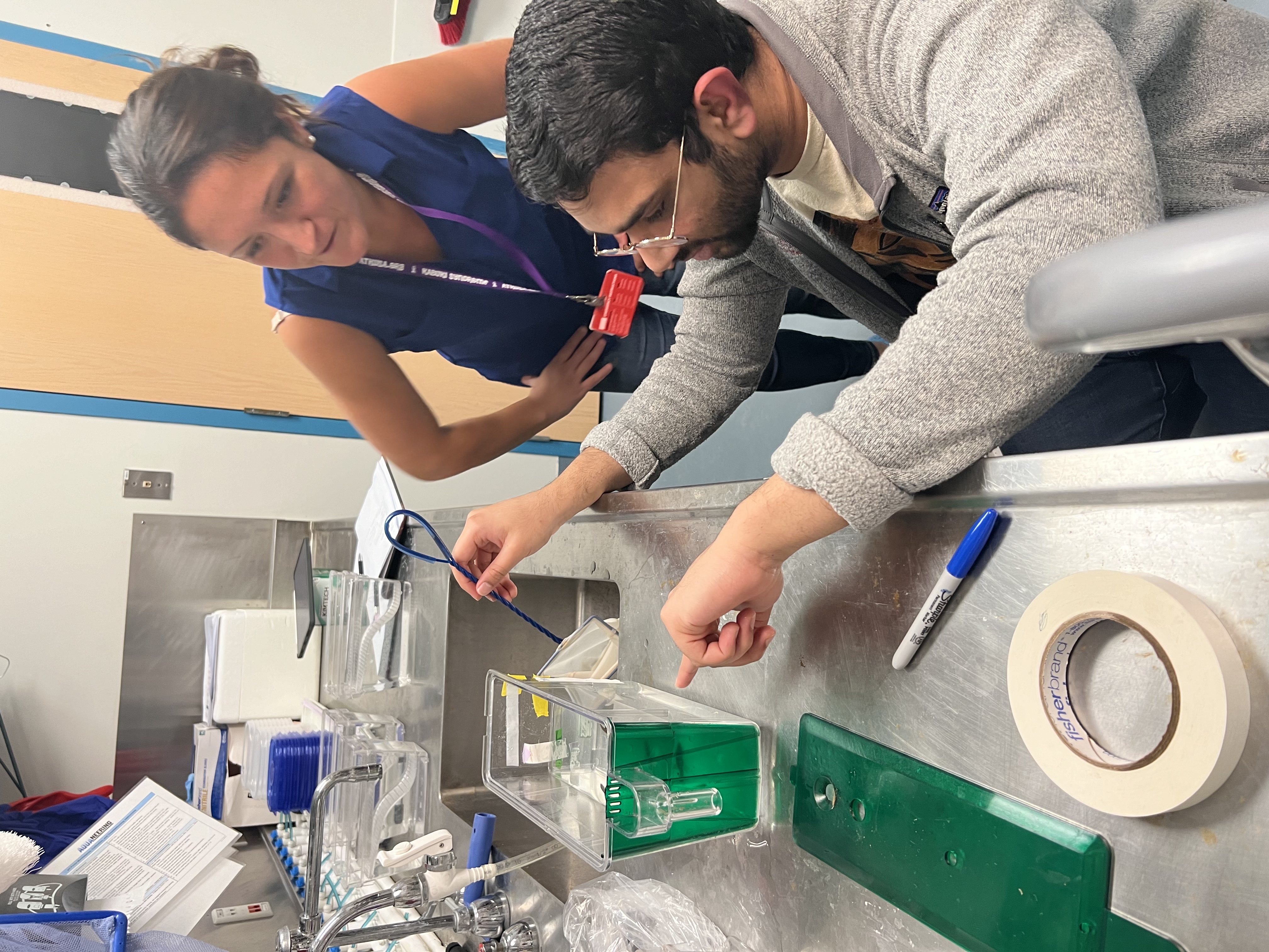Sandra and Sandeep setting up zebrafish tanks in the facility