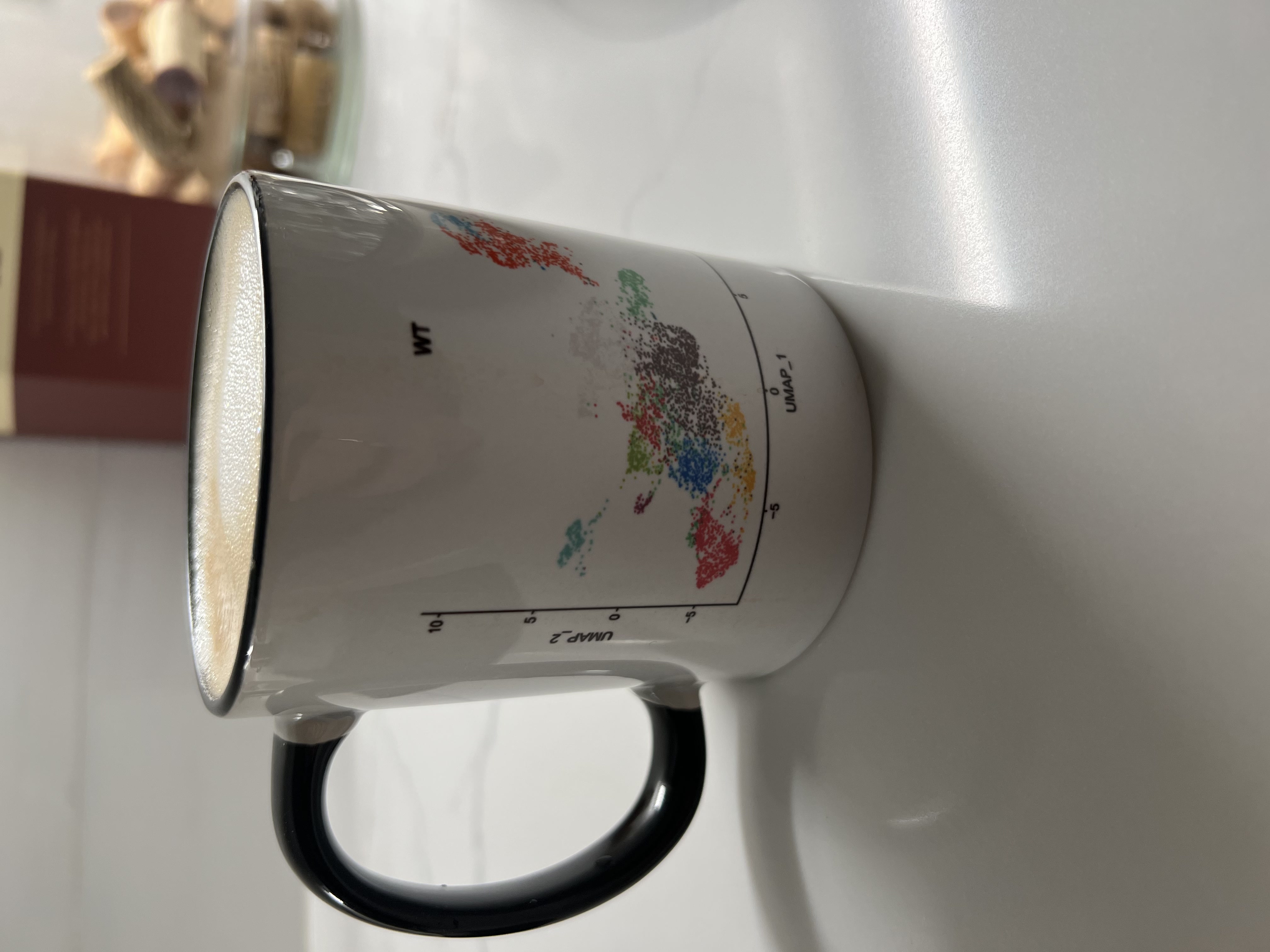 Custom lab mug on a desk, a gift from Zoe