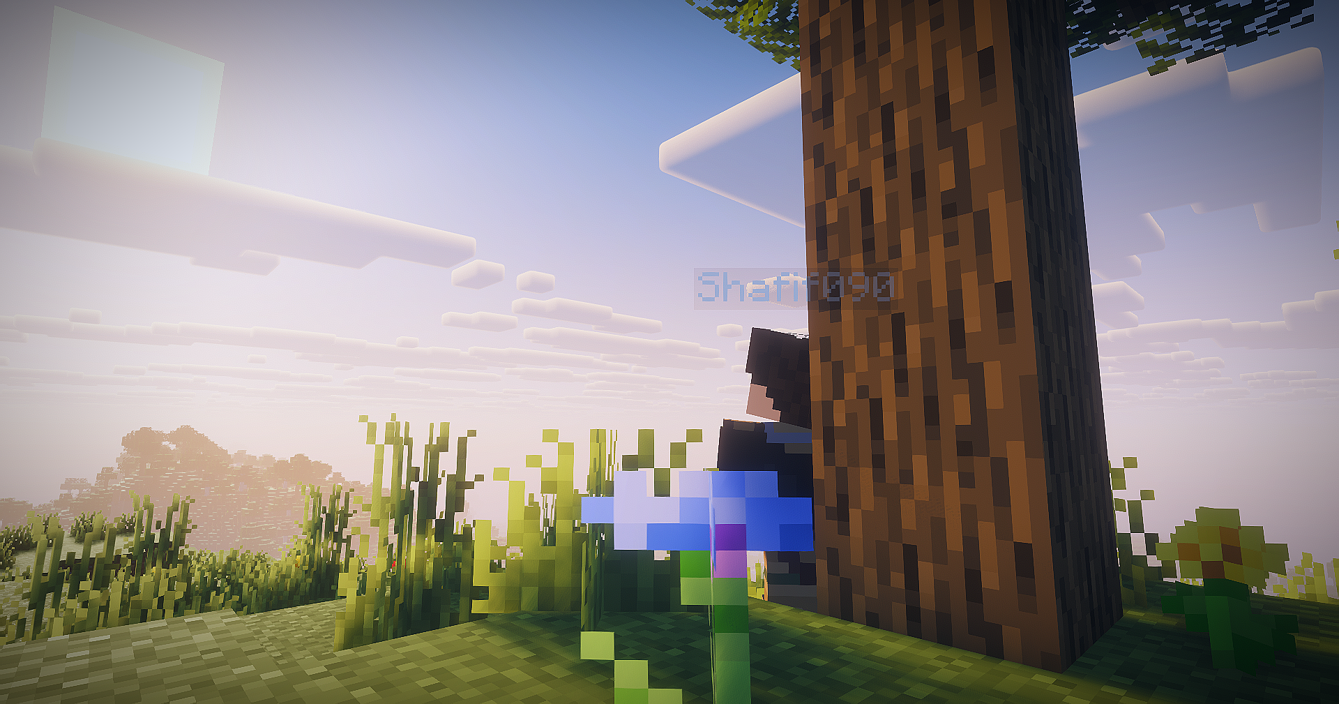 Golden Morning Light