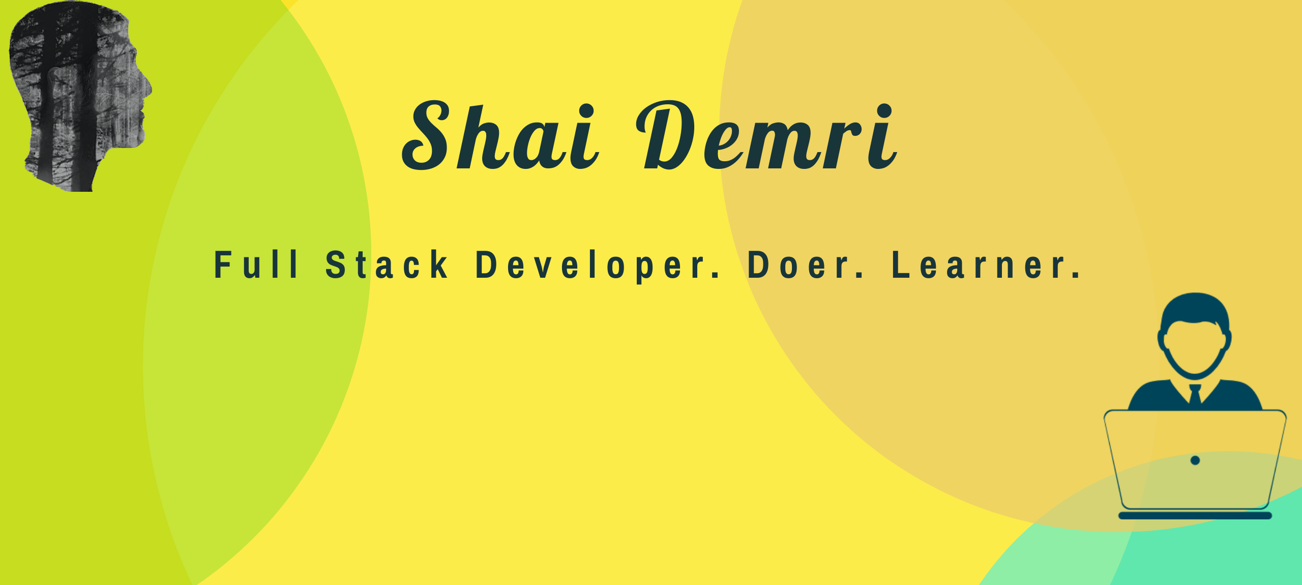 banner that says Shai Demri - a full stack developer