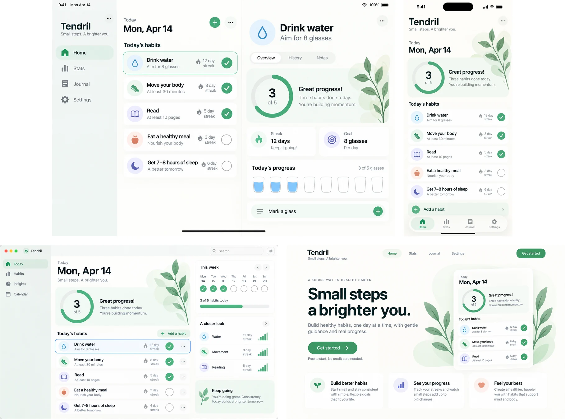 iPad (from --set), iPhone, macOS window and web landing page of one app