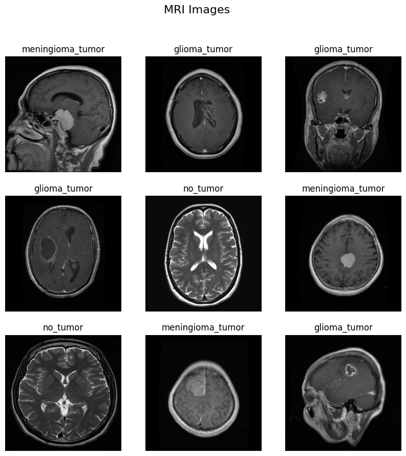 Dataset Sample Images